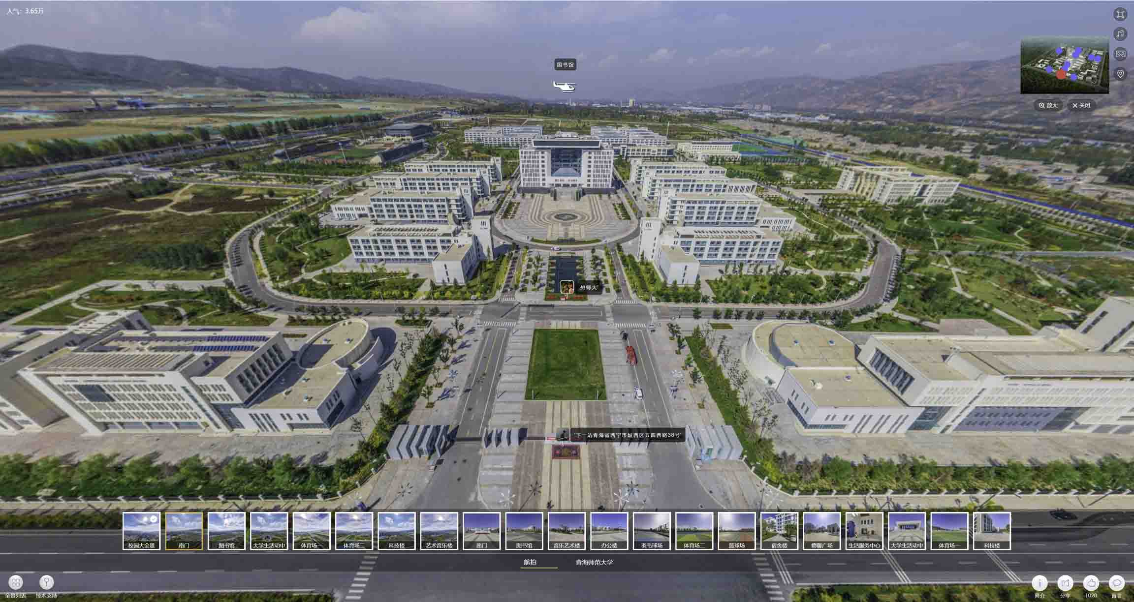 齐河油菜花-惊艳半生的花海仙境